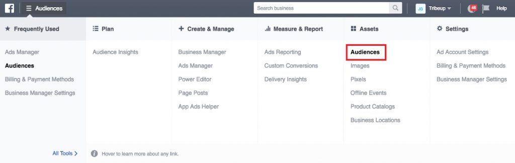 ads-manager-audiences