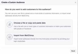 create-custom-audience-2