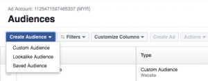 Select audience type to create