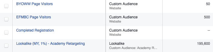 facebook-custom-audience-web-traffic